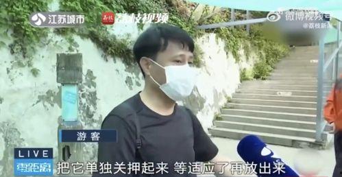网红吃瓜情侣是谁啊,他们的甜蜜瓜田故事